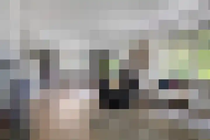 Achter-Oventje 2 a Zeeland thumbnail 13