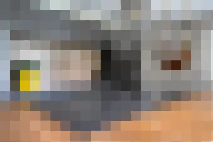 Achter-Oventje 2 a Zeeland thumbnail 18