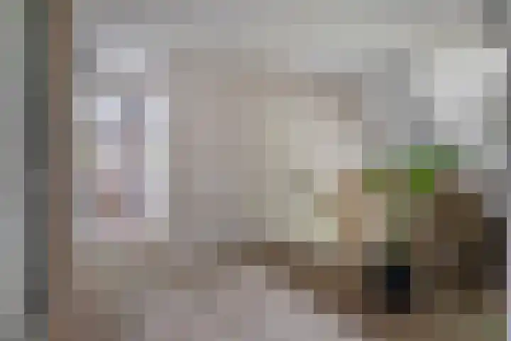 Achter-Oventje 2 a Zeeland thumbnail 24