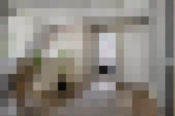 Achter-Oventje 2 a Zeeland thumbnail 25