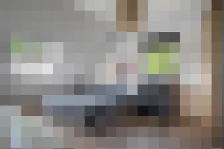 Achter-Oventje 2 a Zeeland thumbnail 27