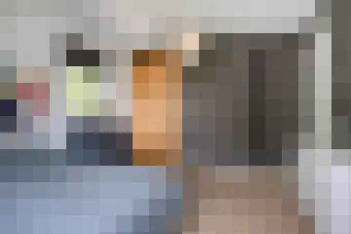 Achter-Oventje 2 a Zeeland thumbnail 28