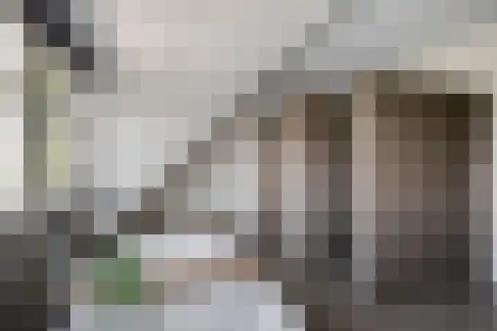 Achter-Oventje 2 a Zeeland thumbnail 30