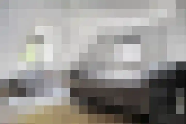 Achter-Oventje 2 a Zeeland thumbnail 33
