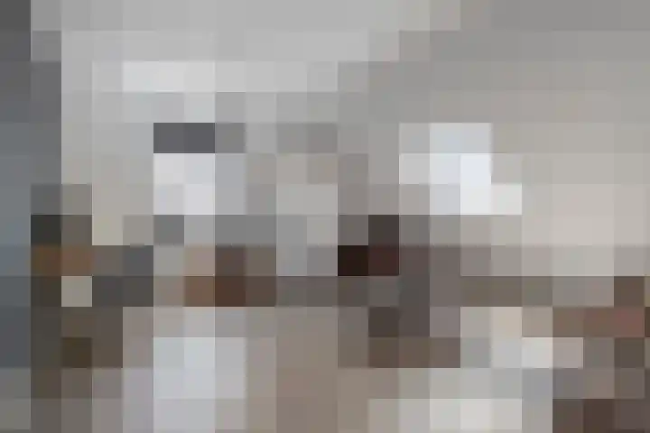 Achter-Oventje 2 a Zeeland thumbnail 37