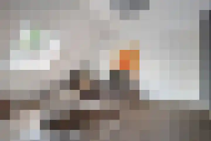 Achter-Oventje 2 a Zeeland thumbnail 38