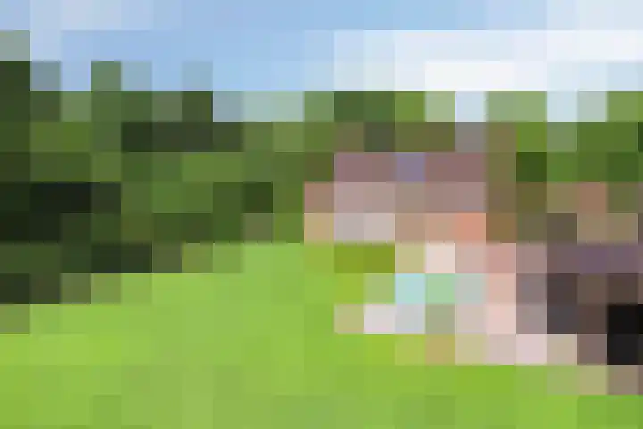 Achter-Oventje 2 a Zeeland thumbnail 4