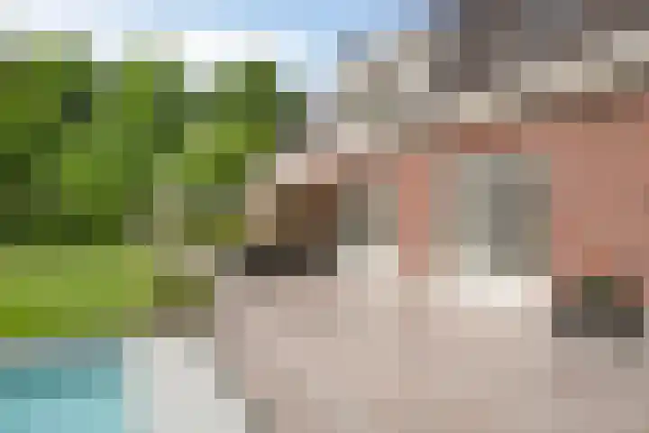 Achter-Oventje 2 a Zeeland thumbnail 44