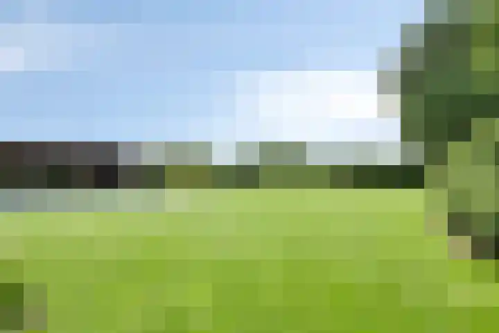 Achter-Oventje 2 a Zeeland thumbnail 46
