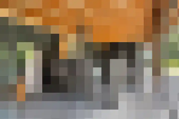 Achter-Oventje 2 a Zeeland thumbnail 48