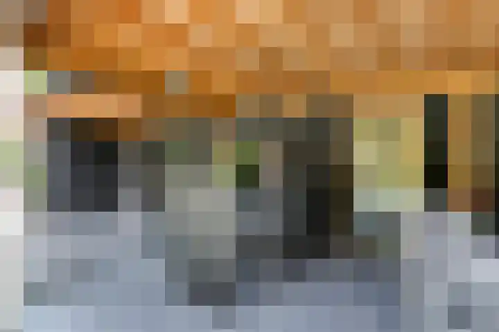 Achter-Oventje 2 a Zeeland thumbnail 50