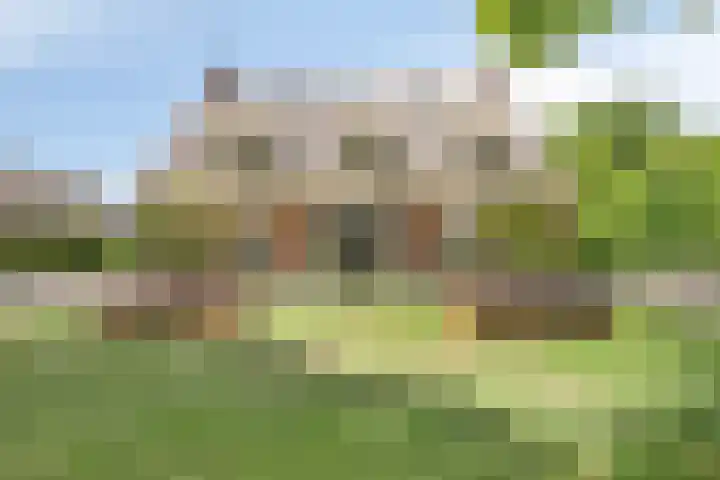 Achter-Oventje 2 a Zeeland thumbnail 52