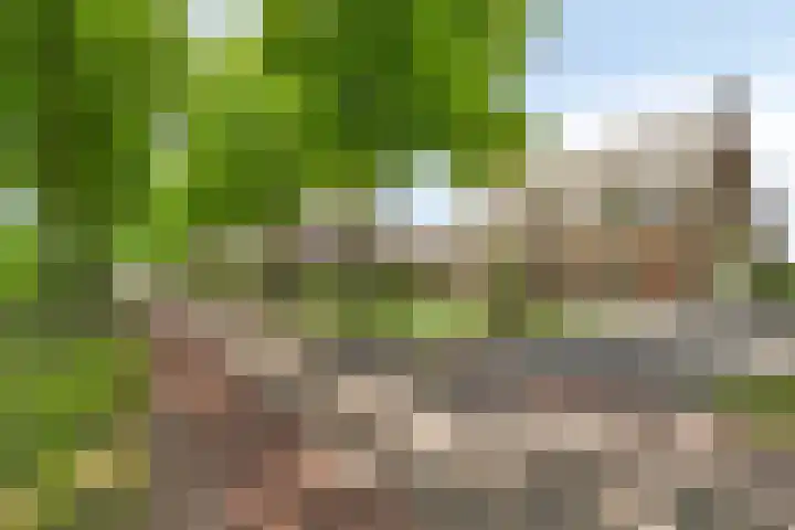 Achter-Oventje 2 a Zeeland thumbnail 54