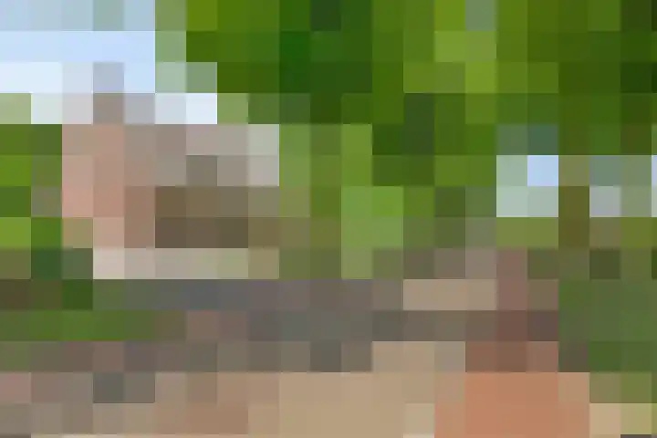 Achter-Oventje 2 a Zeeland thumbnail 55