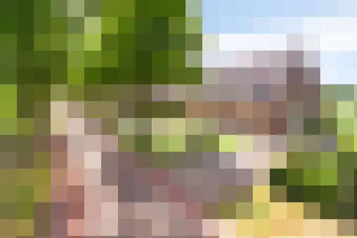 Achter-Oventje 2 a Zeeland thumbnail 56