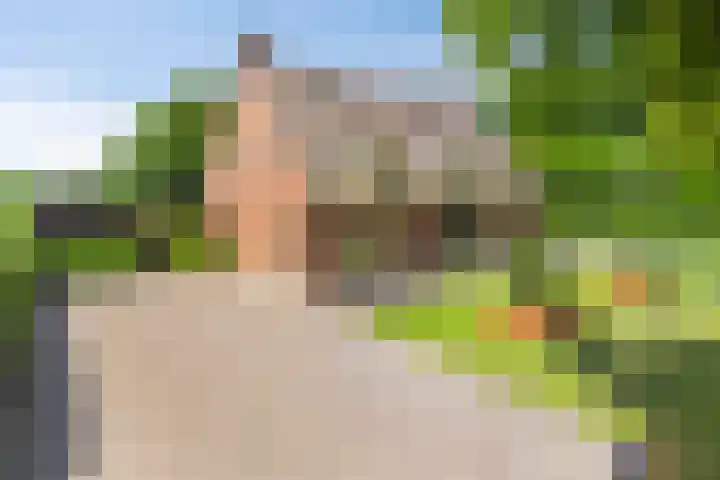 Achter-Oventje 2 a Zeeland thumbnail 58