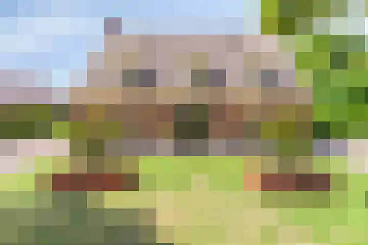 Achter-Oventje 2 a Zeeland thumbnail 59