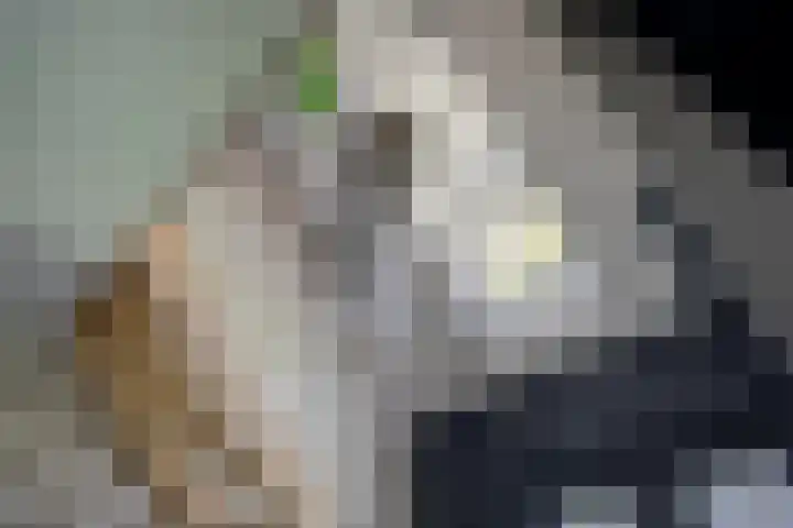 Achter-Oventje 2 a Zeeland thumbnail 8