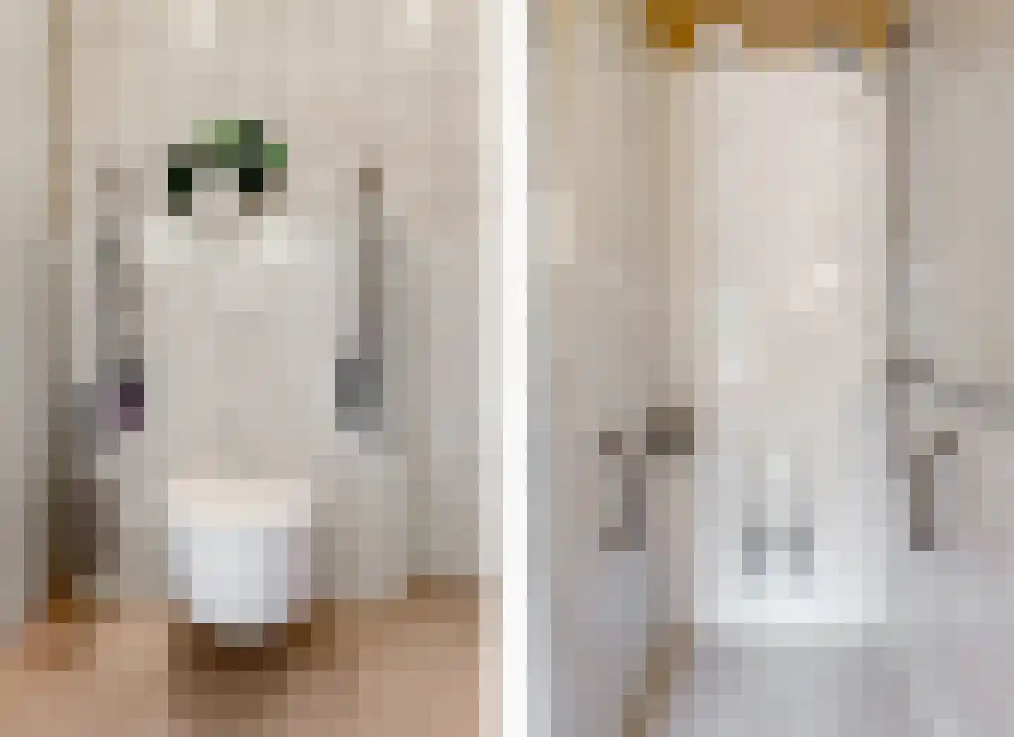 Achter Sint Aagten 2 Lisse thumbnail 20