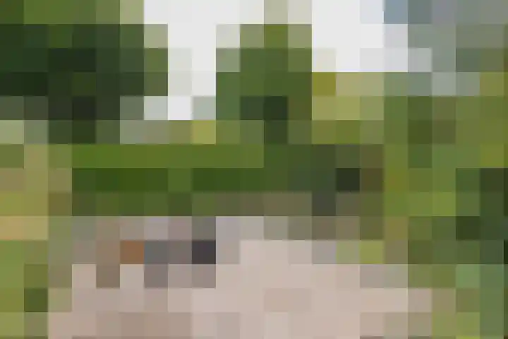 Achter Sint Aagten 2 Lisse thumbnail 20