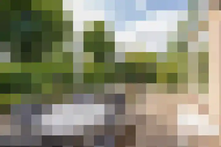 Achter Sint Aagten 2 Lisse thumbnail 21