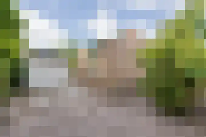 Achter Sint Aagten 2 Lisse thumbnail 22
