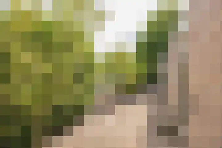 Achter Sint Aagten 2 Lisse thumbnail 23