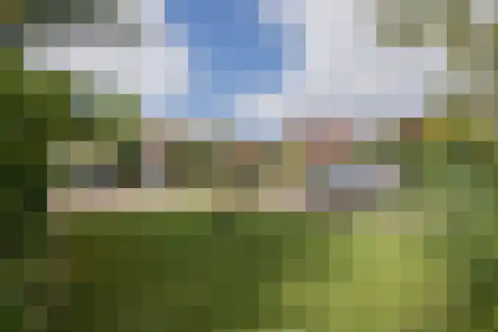 Achter Sint Aagten 2 Lisse thumbnail 24