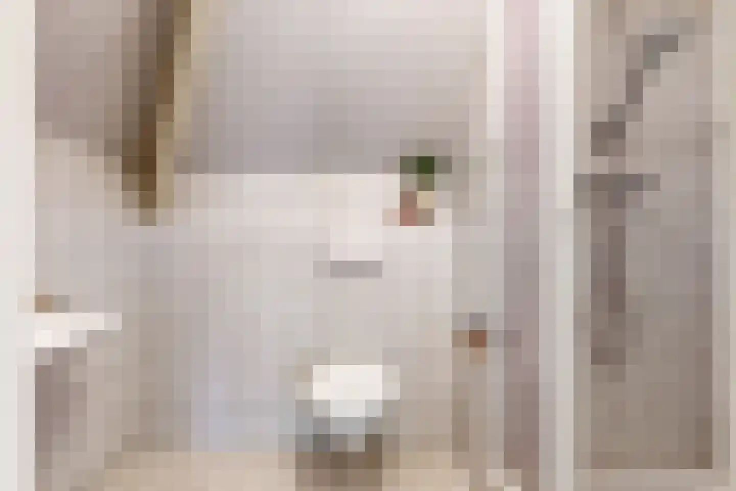 Achter Sint Aagten 2 Lisse thumbnail 27