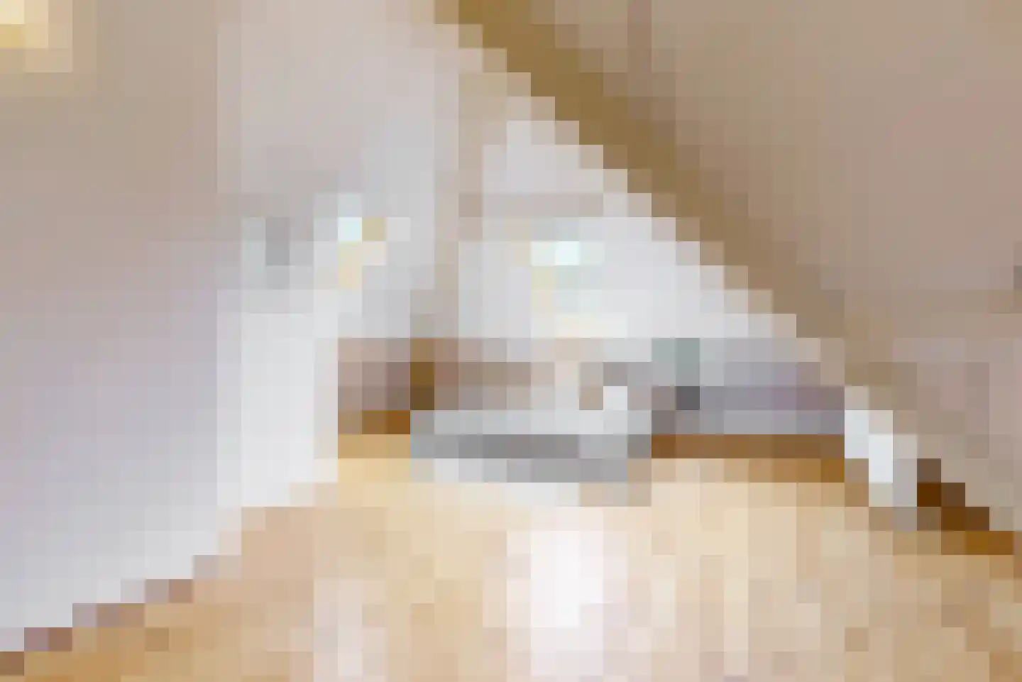 Achter Sint Aagten 2 Lisse thumbnail 30