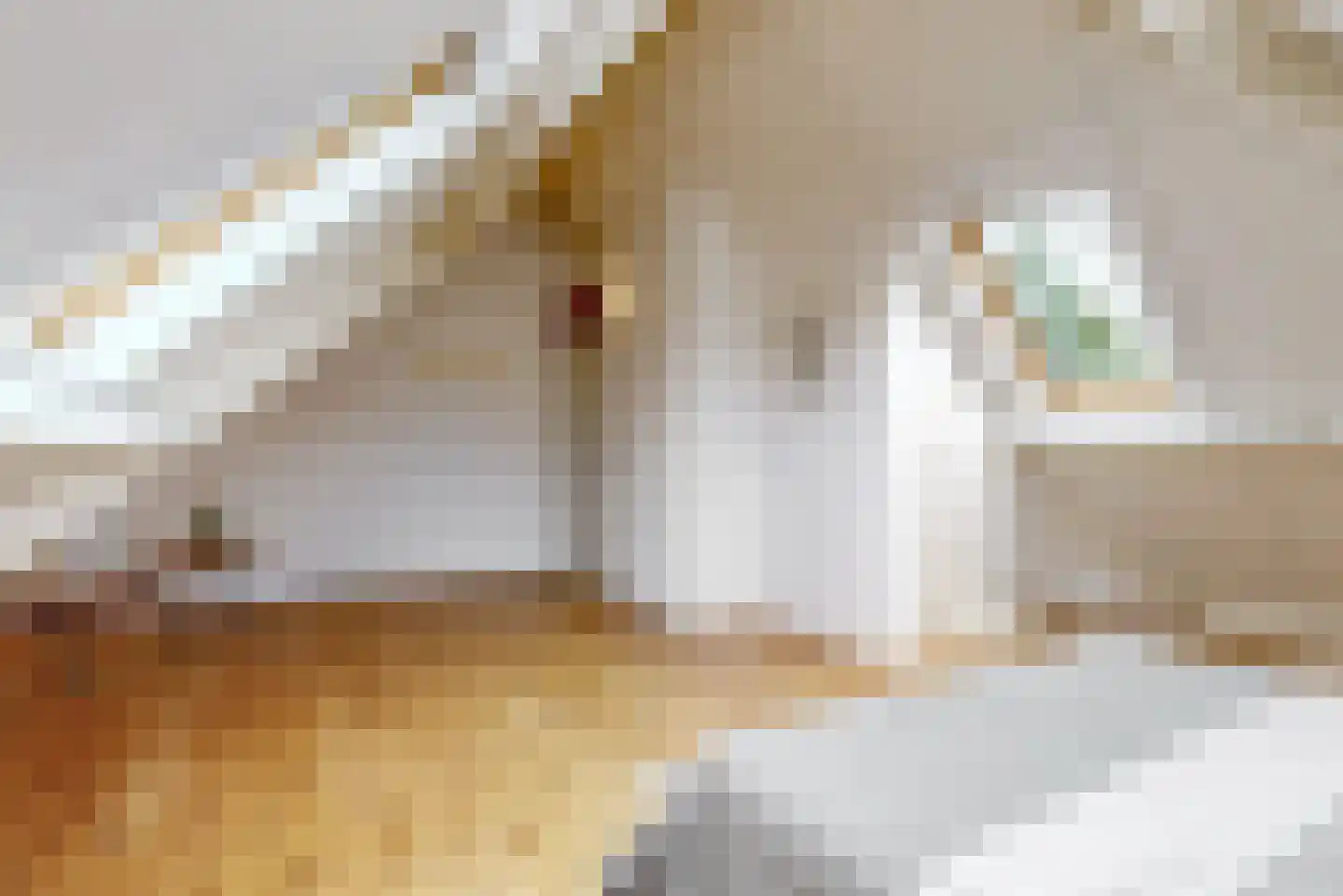 Achter Sint Aagten 2 Lisse thumbnail 31
