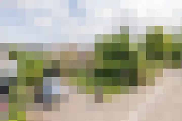Achter Sint Aagten 2 Lisse thumbnail 32