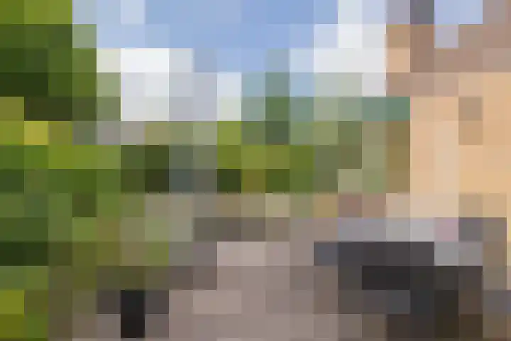 Achter Sint Aagten 2 Lisse thumbnail 4