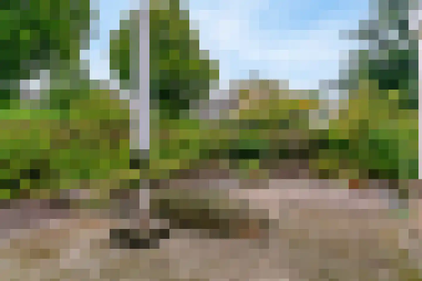 Achter Sint Aagten 2 Lisse thumbnail 43