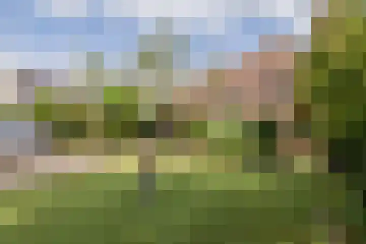 Achter Sint Aagten 2 Lisse thumbnail 5