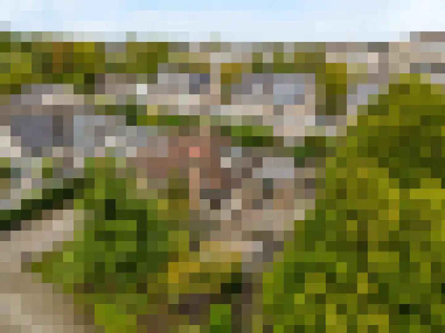Achter Sint Aagten 2 Lisse thumbnail 5