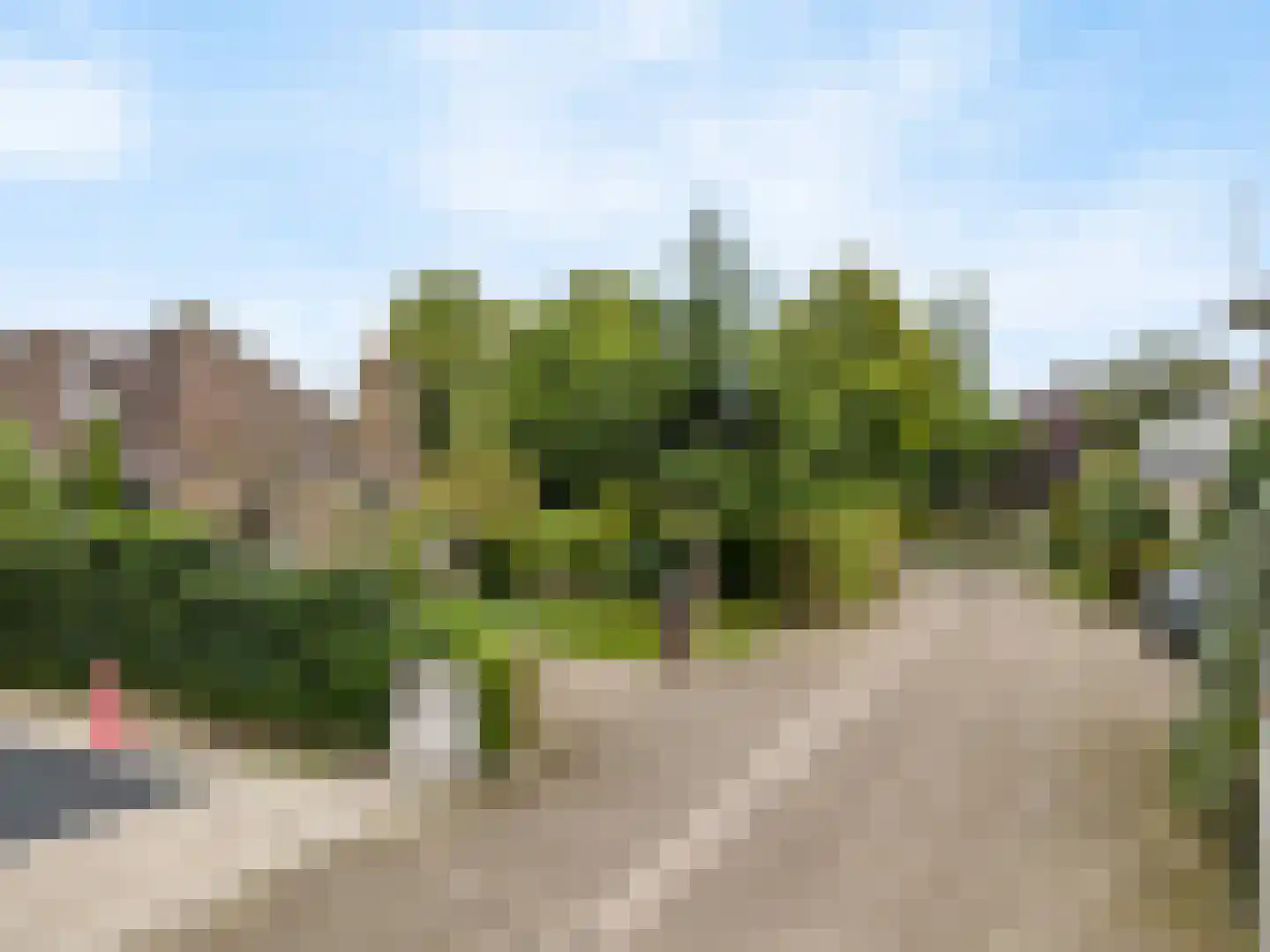 Achter Sint Aagten 2 Lisse thumbnail 50