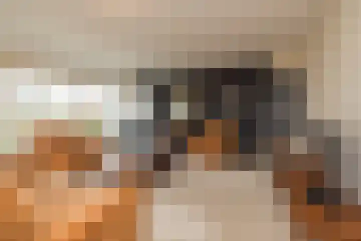 Achter Sint Aagten 22 Lisse thumbnail 10
