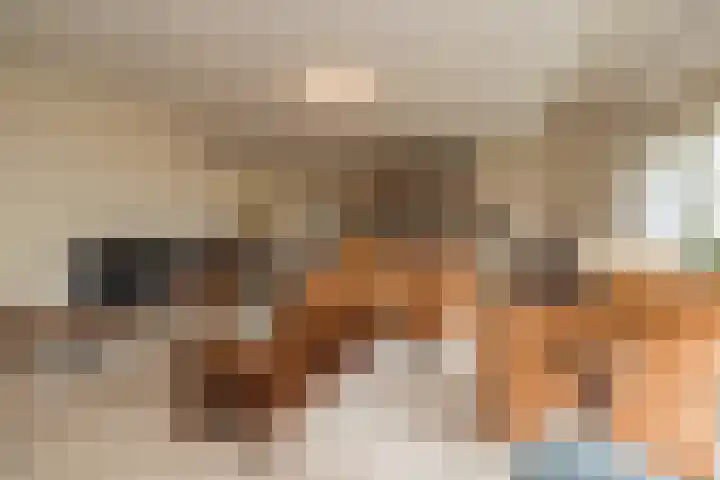 Achter Sint Aagten 22 Lisse thumbnail 11