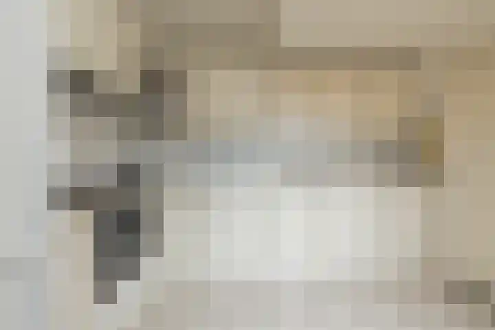Achter Sint Aagten 22 Lisse thumbnail 15