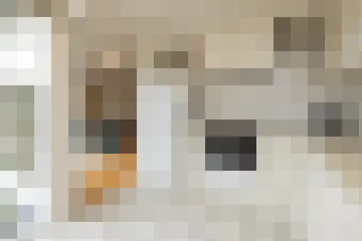 Achter Sint Aagten 22 Lisse thumbnail 16