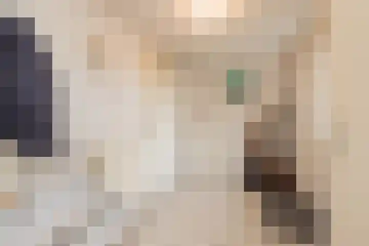 Achter Sint Aagten 22 Lisse thumbnail 17