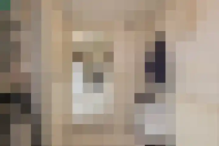 Achter Sint Aagten 22 Lisse thumbnail 18