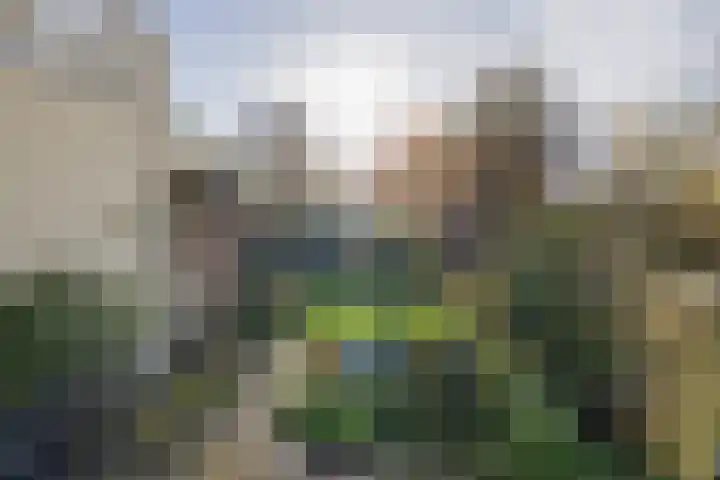 Achter Sint Aagten 22 Lisse thumbnail 20