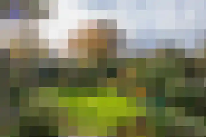 Achter Sint Aagten 22 Lisse thumbnail 21