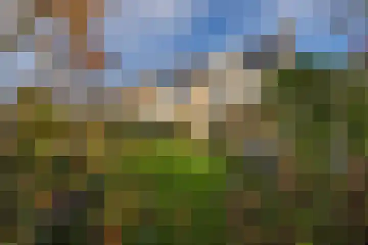 Achter Sint Aagten 22 Lisse thumbnail 22