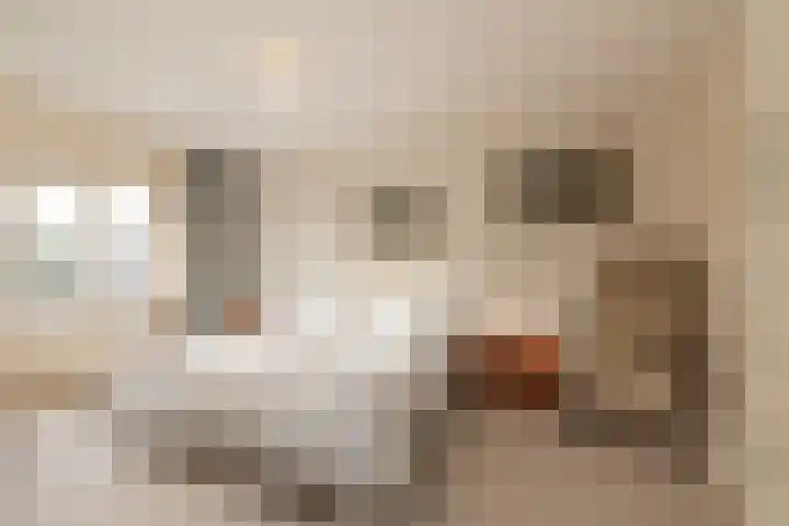Achter Sint Aagten 22 Lisse thumbnail 24