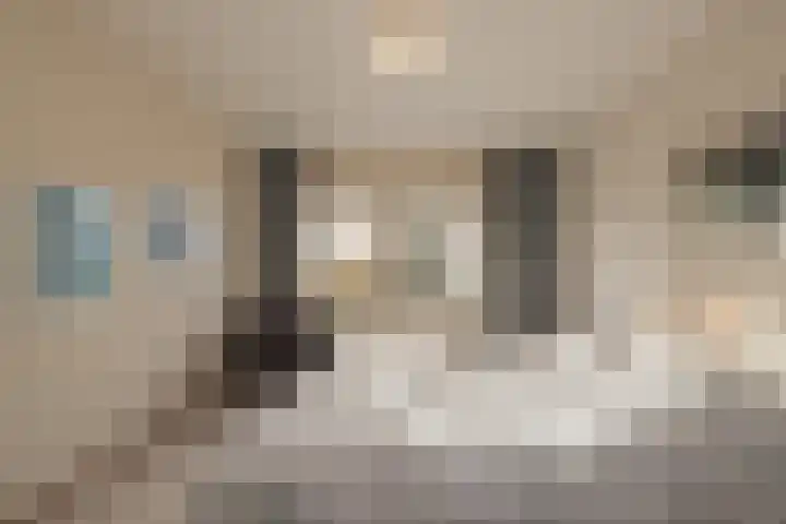 Achter Sint Aagten 22 Lisse thumbnail 25