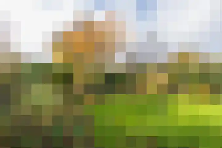 Achter Sint Aagten 22 Lisse foto 3