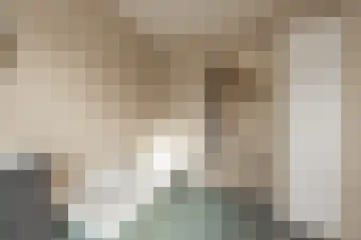 Achter Sint Aagten 22 Lisse thumbnail 32